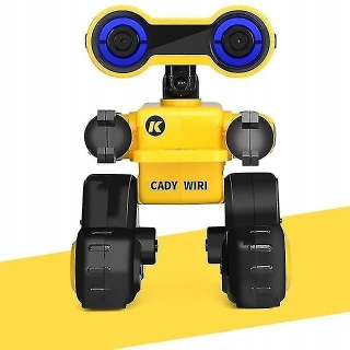 RC Robot Intelligent Programmable Touch Sing