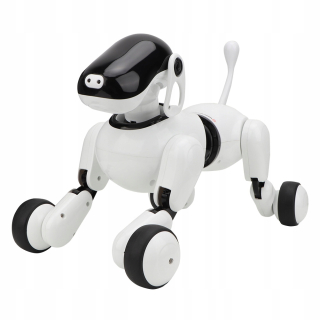 Robopies Interactive robot