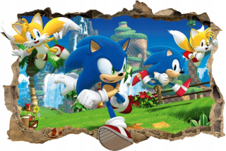 Sonic Wall Sticker 3D Hole 120x80 #81