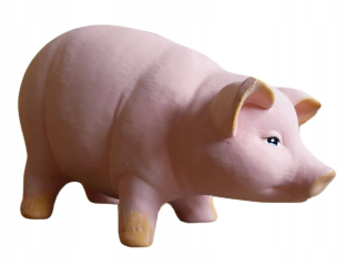 Piggy Bank XXL Mega Big Fast Shipping