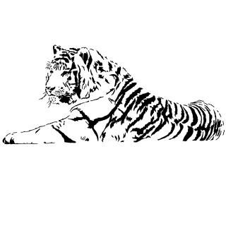 Maľovacie šablóny tigre, šablóna Tiger Lew xxl