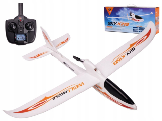 RC Wltoys Sky King F959S 2,4 GHz Aircraft