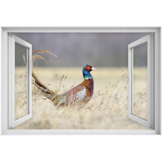 Seba -adhézne 3D dýha bažant okno 90x60