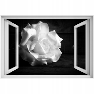 Samostatná 3D dýha Biała Rose 90x60