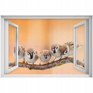 Samolepiaca 3D okenná dyha Funny birds 90x60