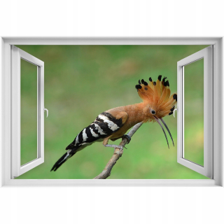 Self -adhézna dyh 3D Dudek Bird 90x60