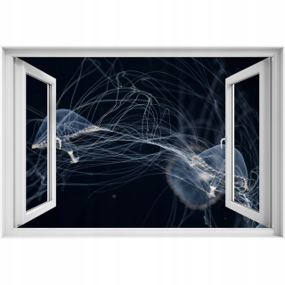 Seba -adhézne 3D okno medúzy 90x60