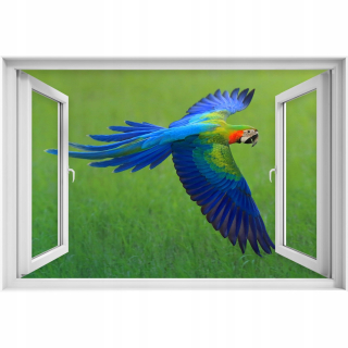 Self -adhézne 3D okno Ara Bird 90x60
