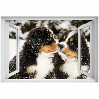 Self -adhézne 3D okno Bernese Picket Dog 90x60
