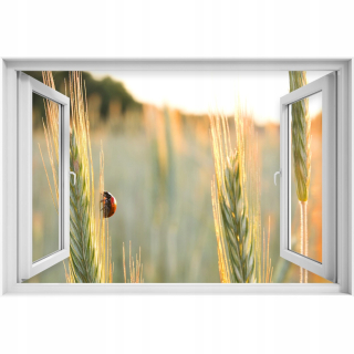 Samostatne 3D okno Biedronka 90x60
