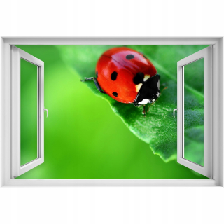 Self -adhézne 3D okno Biedronka Insect 90x60