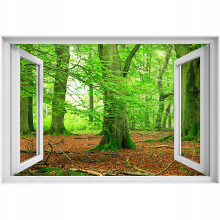 Self -adhézne 3D okno Bukki Forest 90x60