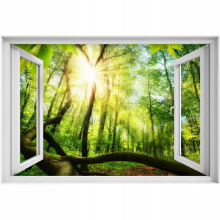 Self -adhézne 3D oknový bukový nálepka Forest 90x60