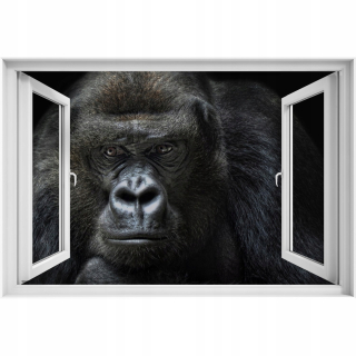Self -adhézne 3D okenné nálepka Gorilla 90x60