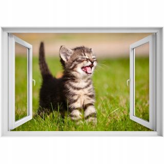 Self -adhézne 3D okno vybrané Cat Cat 90x60