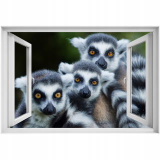 Self -adhézne 3D okno lemur nálepka 90x60