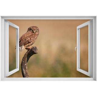 Self -adhézne 3D okenné nálepka Small Owl 90x60