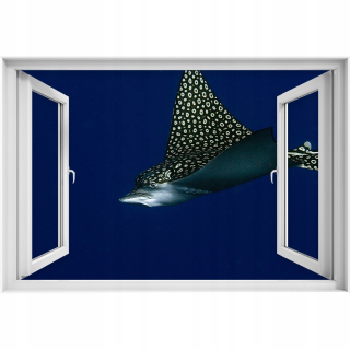 Self -Adhhesive 3D okenné nálepka manta rýb 90x60
