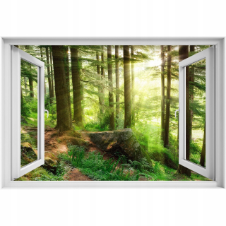Self -adhézne 3D okenný hmlový les 90x60 Forest