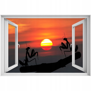 Samostatný nálepka s 3D oknami 90x60