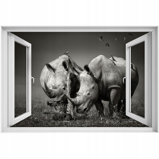 Self -adhézne 3D zberač okna 90x60 Rhino