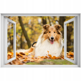 Self -adhézne 3D slepka na okno Collie 90x60