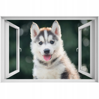Self -adhézne 3D okenné nálepka Husky 90x60