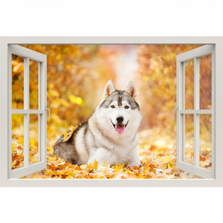 Self -adhézne 3D okenné nálepka Husky 150x100