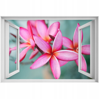 Samostatný nálepka 3D okna Pink Plumeria