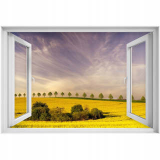 Self -adhézne 3D zberač okna Rapeseed 90x60