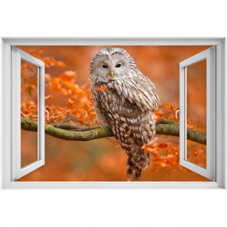 Self -adhézne 3D okenné zberač vtákov sova 90x60