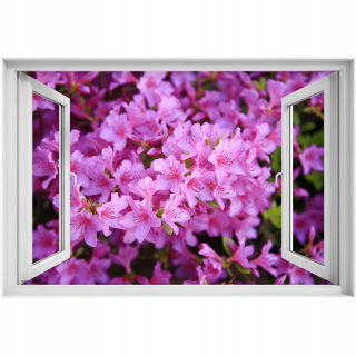Samostatný nálepka 3D okna ružová rododendron