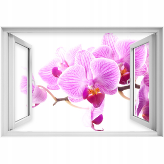 Samostatný nálepka 3D okna ružová orchideea