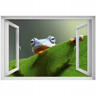 Self -adhézne 3D oknový gutkt zberač Frog 90x60