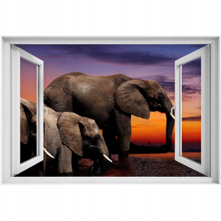 Samostatne 3D okno slona 90x60