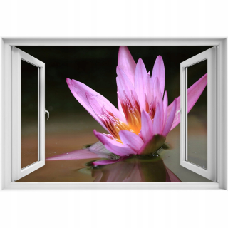 Self -adhézne 3D okenný rybník 90x60