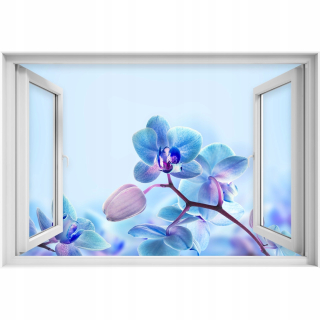 Samostatne 3D okenné tropické orchidey