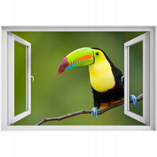 Self -adhézne 3D okenné nálepka Toucan Bird 90x60