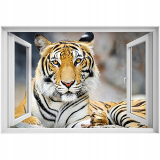 Self -Adhhesive 3D okenná nálepka Tiger Cat 90x60