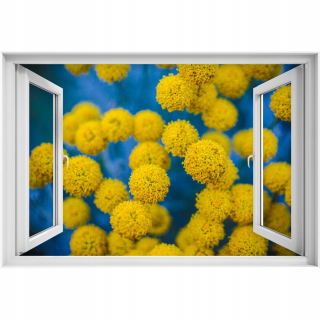 Self -adhézne 3D okenné nálepka žlté kvety 90x60