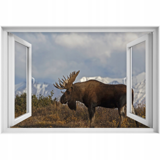 Samostatne 3D slepka na 3D okien 90x60 los