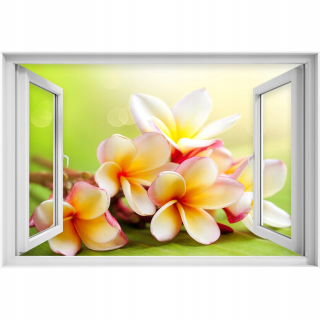 Self -adhézne okno frangipani kvety 90x60