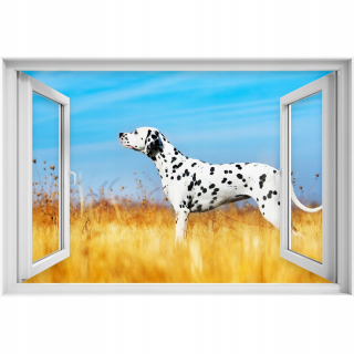 Self -adhézne okenný demonštrácia Dalmatian Dog 90x60