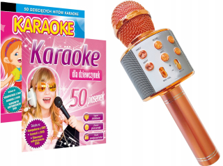 Pevná bezdrôtová mikrofón karaoke krajina ľadu
