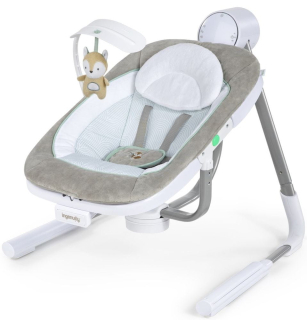 Swing Ingenuity 12584