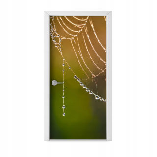 Dvere tapety štýlové kvapôčky Cobweb Designs
