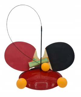 Tenis Ping-Pong Coach hrá set set inštruktorov