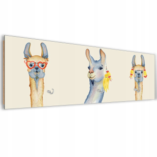 Vešiak, Lama - 70x25