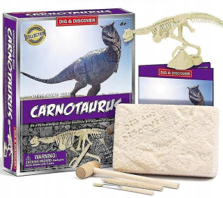 Archeologické hračky na kopanie fosílií