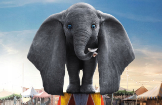 Nástenná nástenná nálepka dumbo film 200x130cm